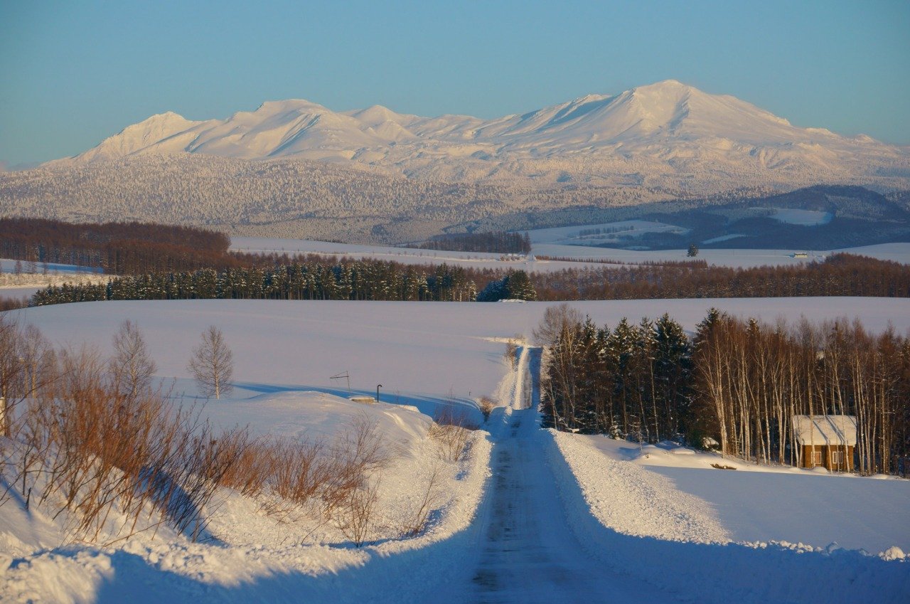 🏞️ 슈지츠 언덕(슈지츠노오카) 이미지 5
